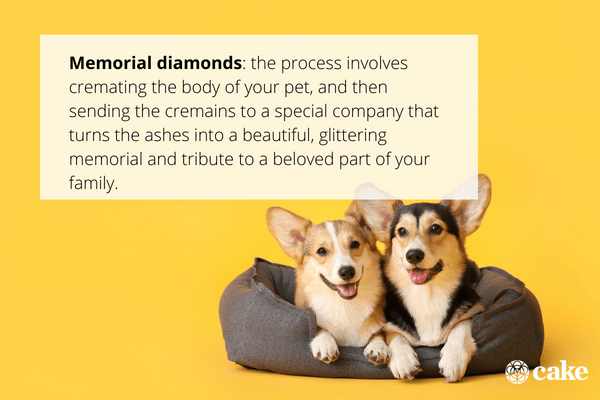 How Does Turning Pet Ashes Into Diamonds Work? Cake Blog